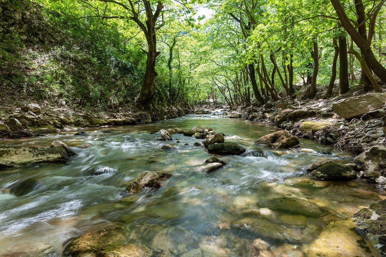 river, rocks, forest, trees, stream, nature, flow, water, spring, trikala, greece, palaiokarya